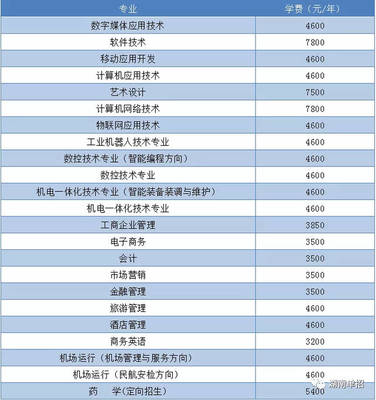 湖南省單招考試報考計算機、軟件類專業院校與重點推薦—聚焦技術開發與銷售